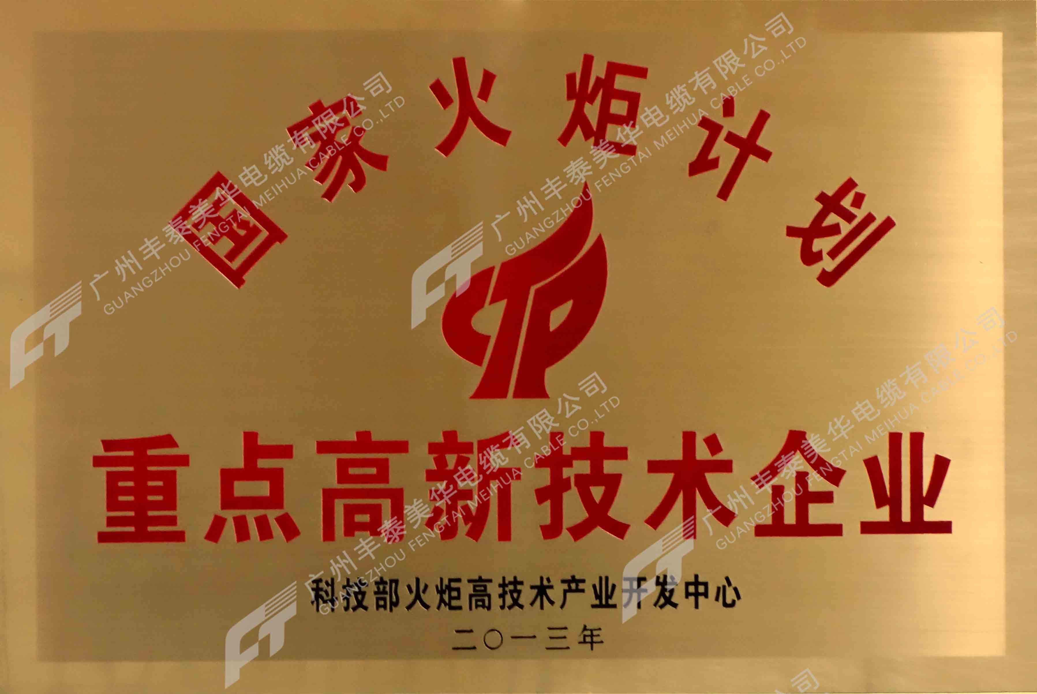 重點高新技術企業(yè)